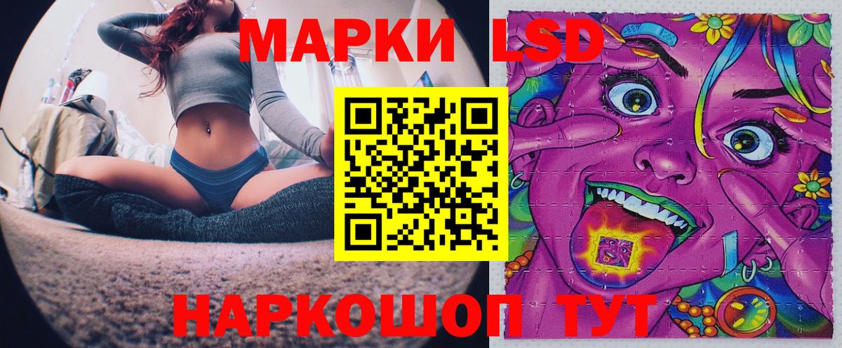 купить наркотики сайты  Марки N-bome 1,5мг  Марки N-bome 1,5мг  Вход с VPN  Новомосковск 