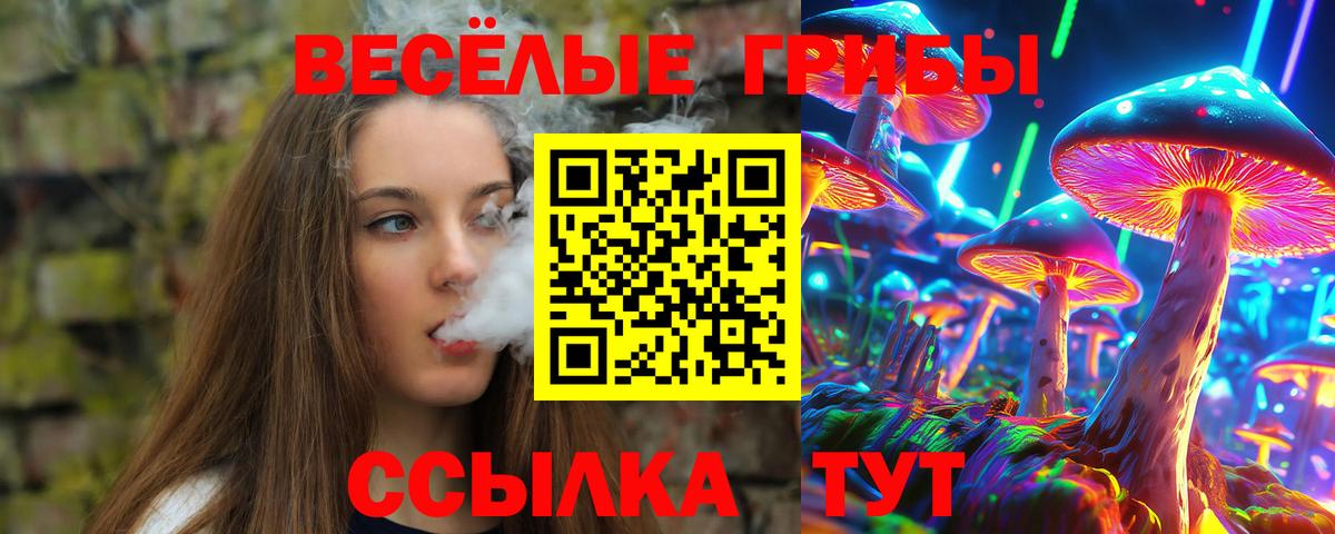Галлюциногенные грибы прущие грибы Новомосковск
