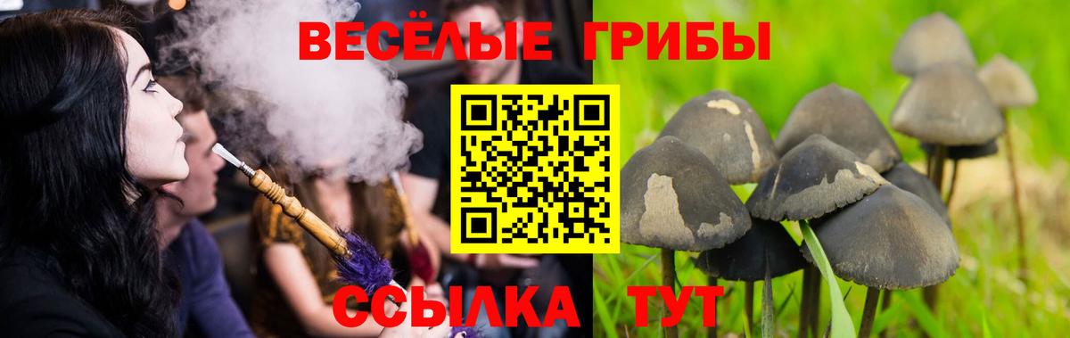 Новомосковск  Галлюциногенные грибы мухоморы  Вход с VPN 